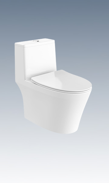 超旋風(fēng)360°D3坐便器